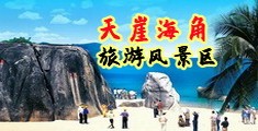 中国美女学生妹破处视频播放海南三亚-天崖海角旅游风景区