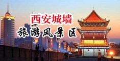 生操女生的逼逼中国陕西-西安城墙旅游风景区